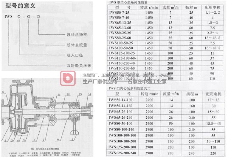 中強lWS雙葉輪化工泵